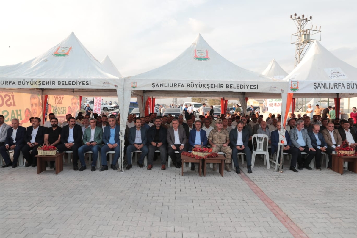 ŞANLIURFA’NIN TESCİLLİ LEZZETİ İSOTUN HASADI YAPILDI