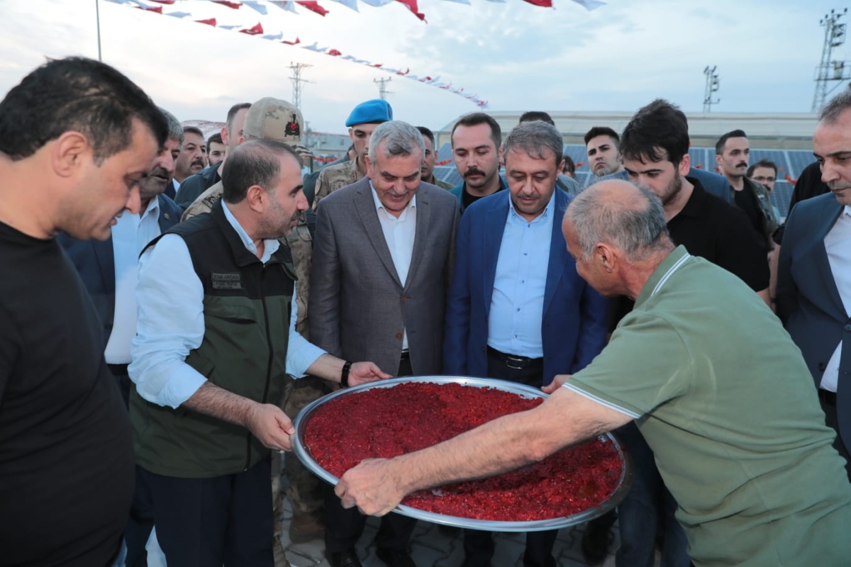 ŞANLIURFA’NIN TESCİLLİ LEZZETİ İSOTUN HASADI YAPILDI