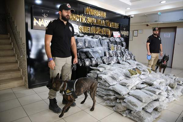 Diyarbakır'da düzenlenen operasyonlarda, 333 kilo 500 gram skunk, 18 kilo 250 gram esrar ele geçirildi.