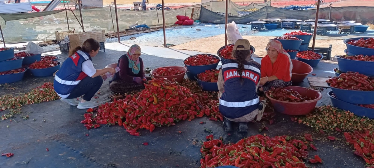 Şanlıurfa İl J.K.lığı Aile İçi Şiddetle Mücadele bilgilendirme