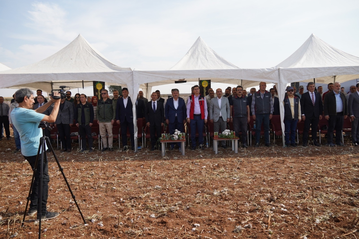 ŞANLIURFA PAMUĞU FESTİVALİ