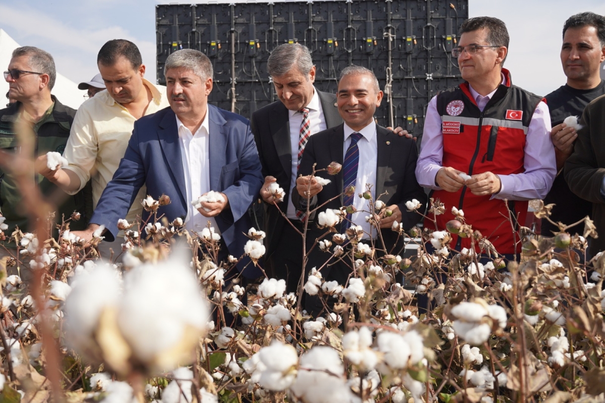 ŞANLIURFA PAMUĞU FESTİVALİ