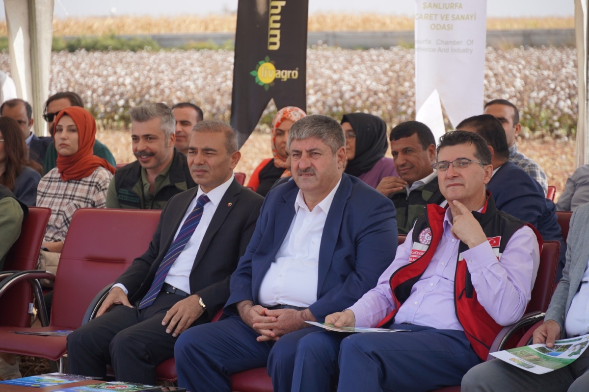 ŞANLIURFA PAMUĞU FESTİVALİ