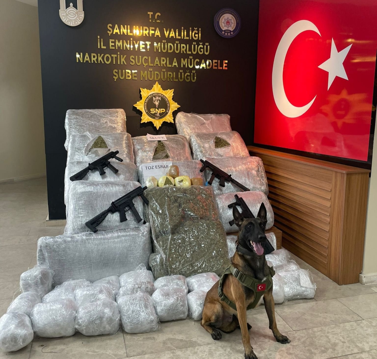 Şanlıurfa'da 9 kilo 350 gram skunak ele geçirildi