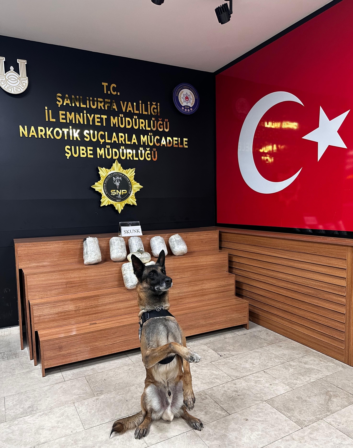 Şanlıurfa'da 9 kilo 350 gram skunak ele geçirildi