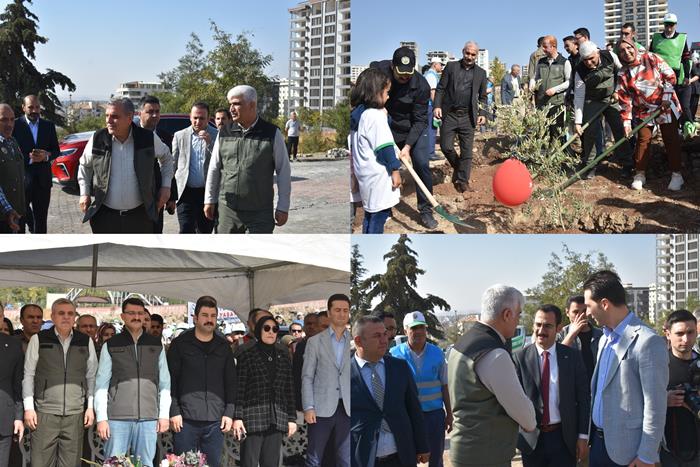 Şanlıurfa Orman Bölge Müdürlüğü Şanlıurfa’da ağaçlandırmaya önem veriyor