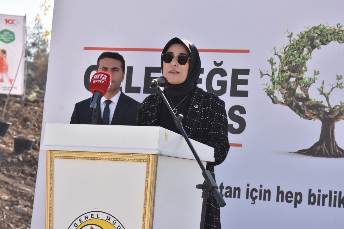 Şanlıurfa Orman Bölge Müdürlüğü Şanlıurfa’da ağaçlandırmaya önem veriyor