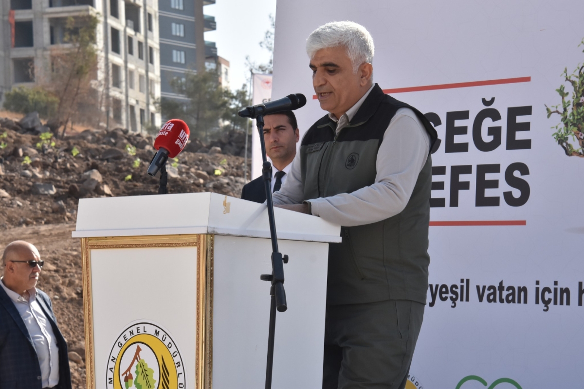 Şanlıurfa Orman Bölge Müdürlüğü Şanlıurfa’da ağaçlandırmaya önem veriyor