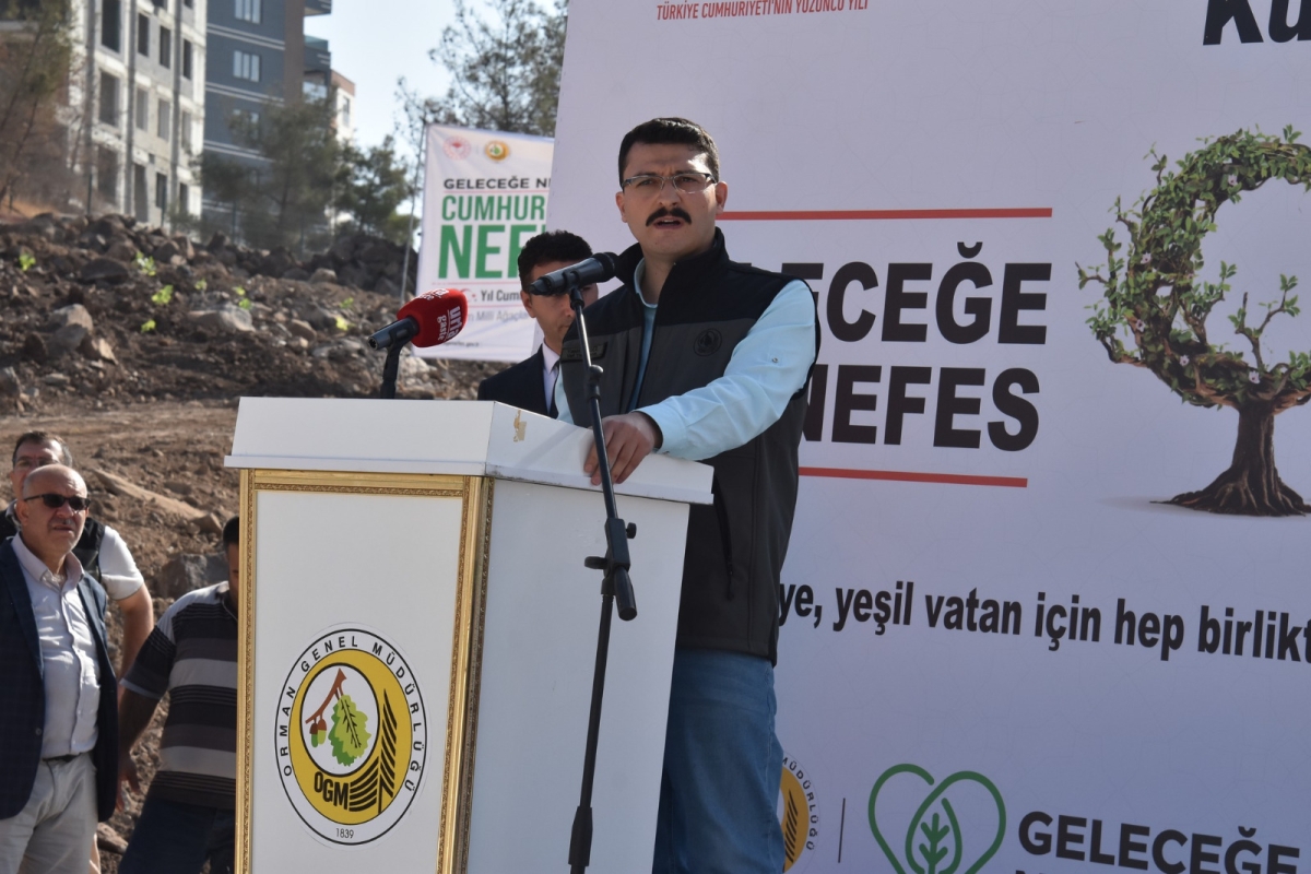 Şanlıurfa Orman Bölge Müdürlüğü Şanlıurfa’da ağaçlandırmaya önem veriyor