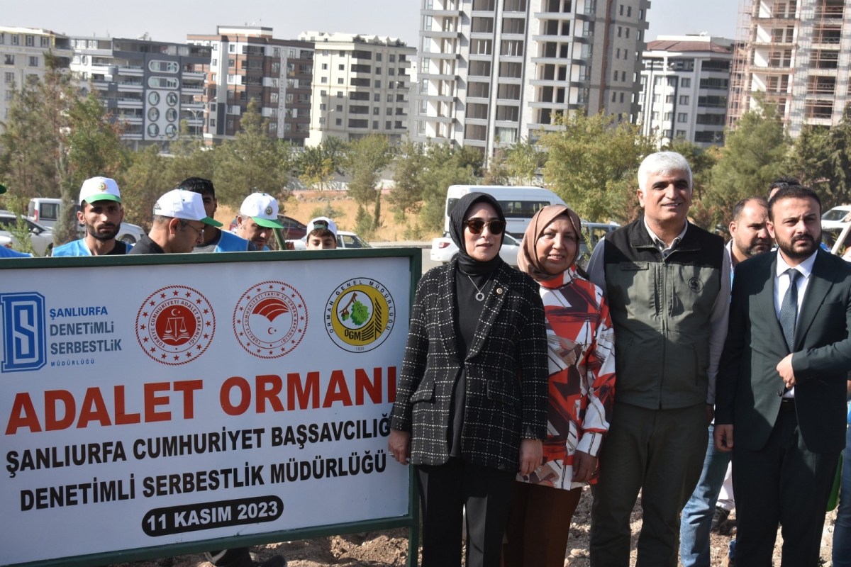 Şanlıurfa Orman Bölge Müdürlüğü Şanlıurfa’da ağaçlandırmaya önem veriyor
