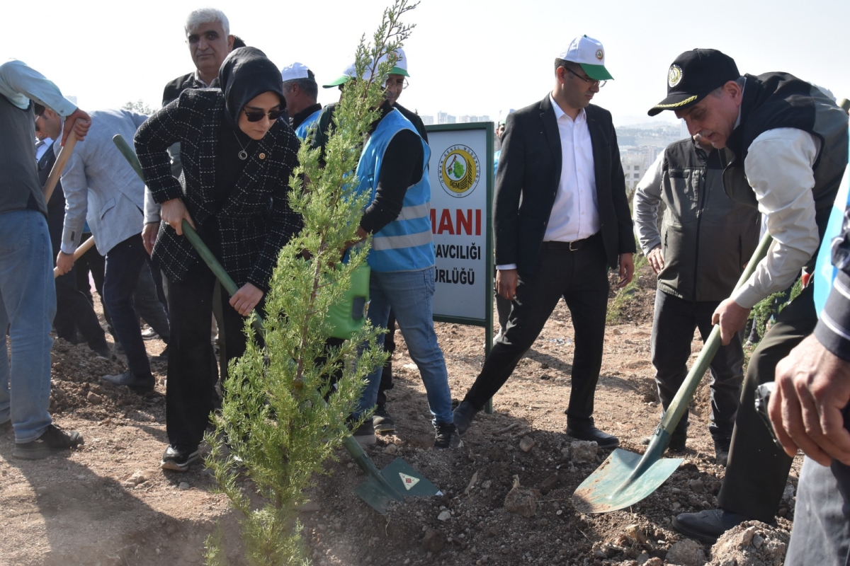 Şanlıurfa Orman Bölge Müdürlüğü Şanlıurfa’da ağaçlandırmaya önem veriyor