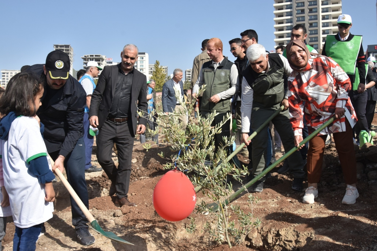 Şanlıurfa Orman Bölge Müdürlüğü Şanlıurfa’da ağaçlandırmaya önem veriyor