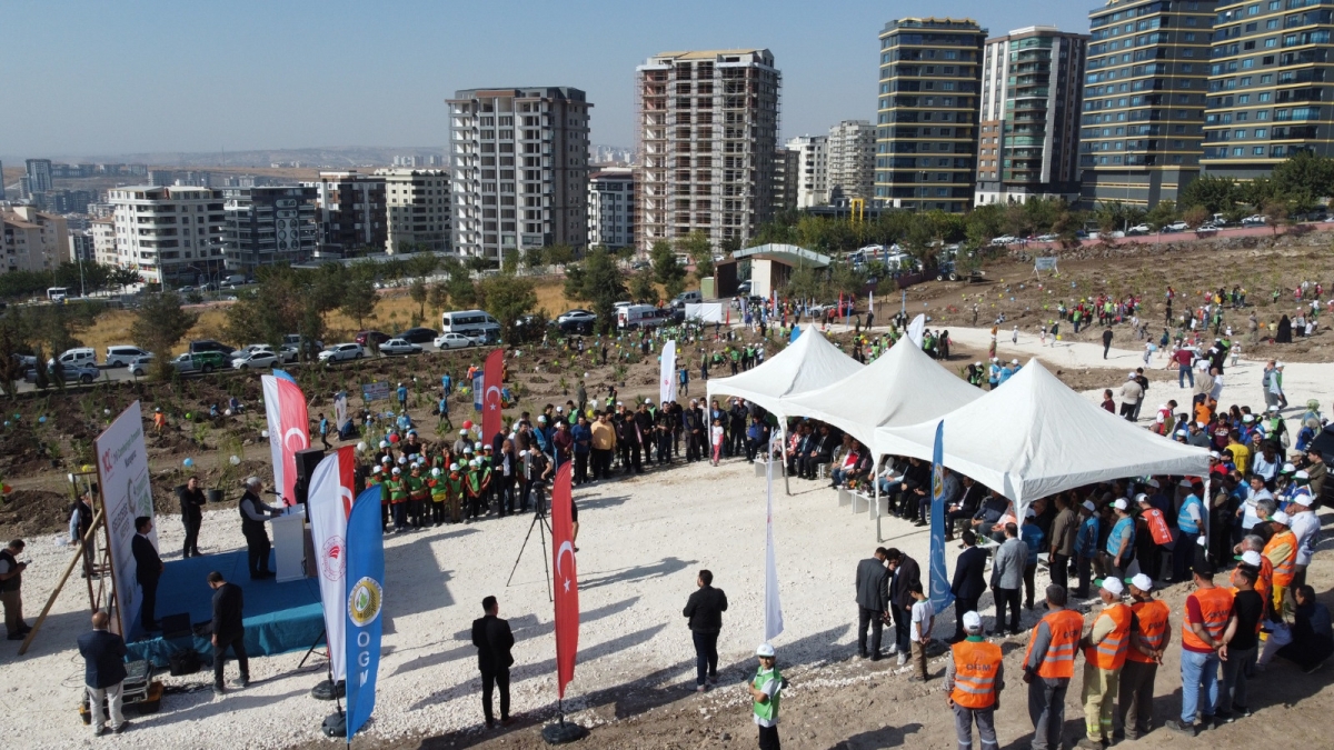 Şanlıurfa Orman Bölge Müdürlüğü Şanlıurfa’da ağaçlandırmaya önem veriyor