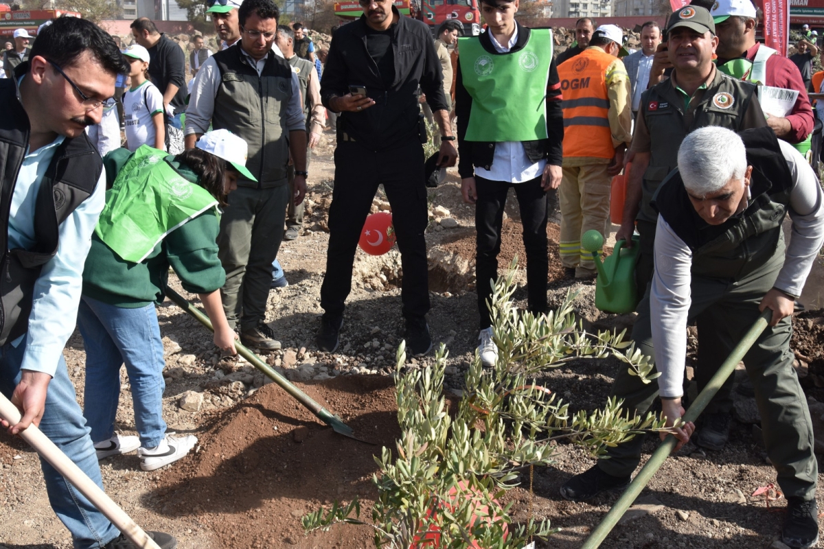 Şanlıurfa Orman Bölge Müdürlüğü Şanlıurfa’da ağaçlandırmaya önem veriyor