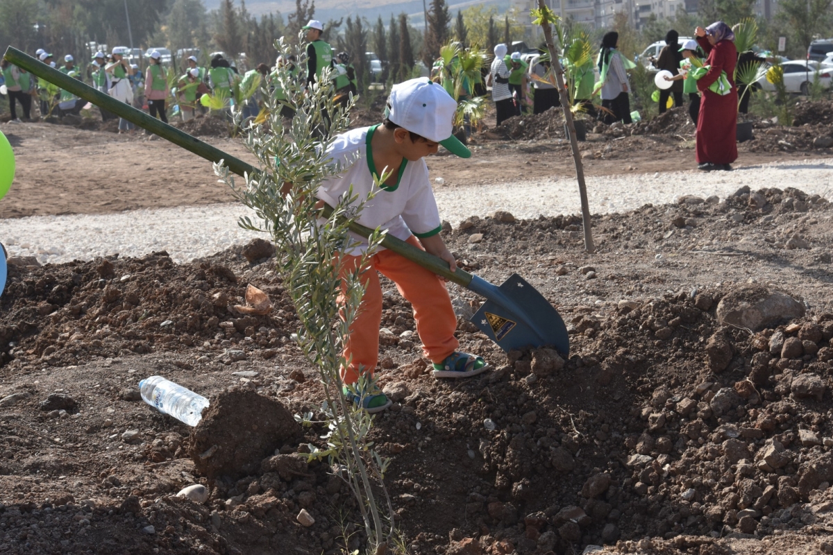 Şanlıurfa Orman Bölge Müdürlüğü Şanlıurfa’da ağaçlandırmaya önem veriyor