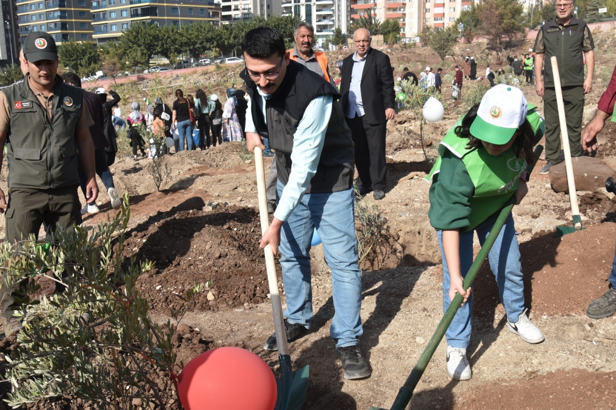 Şanlıurfa Orman Bölge Müdürlüğü Şanlıurfa’da ağaçlandırmaya önem veriyor