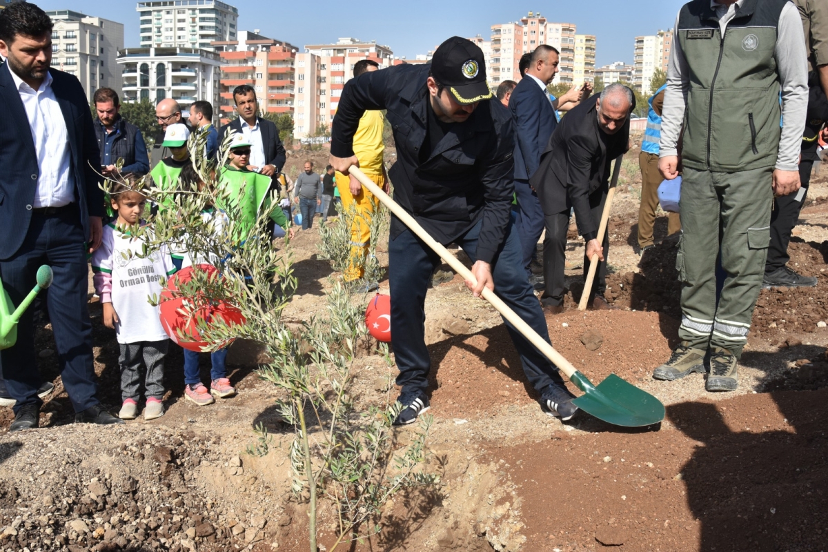 Şanlıurfa Orman Bölge Müdürlüğü Şanlıurfa’da ağaçlandırmaya önem veriyor
