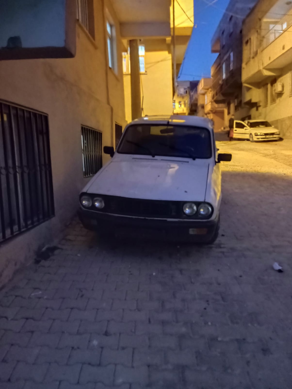 Şanlıurfa'da oto faresi yakalandı