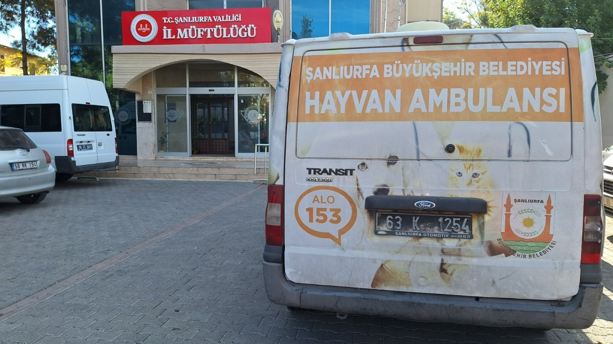 : BÜYÜKŞEHİR’DEN MİNİK DOSTLARA MAMA