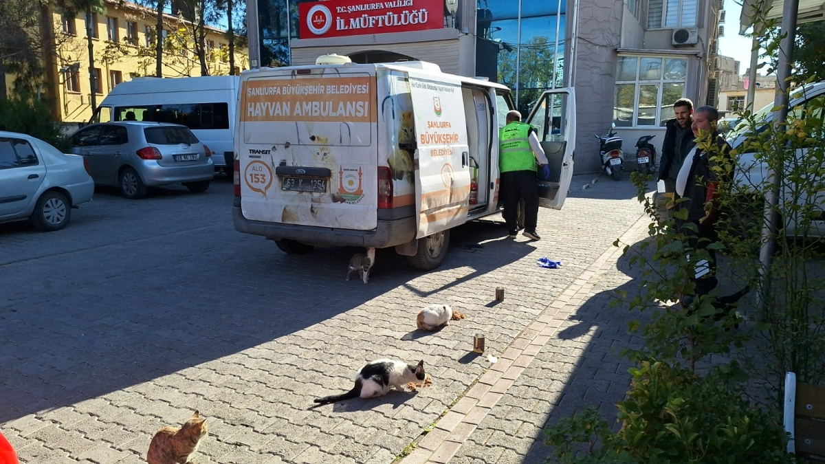 : BÜYÜKŞEHİR’DEN MİNİK DOSTLARA MAMA