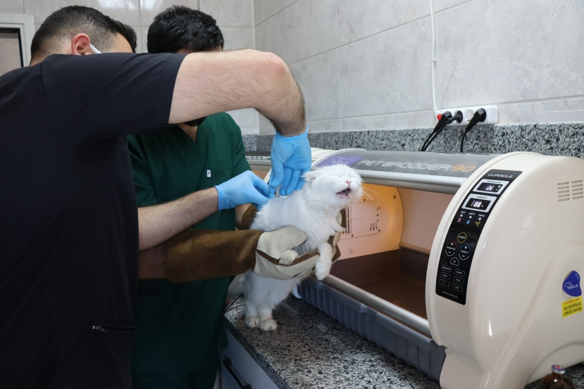 Tam Teşekküllü Hayvan Hastanesi Ve Rehabilitasyon Merkezi Hizmete Başladı