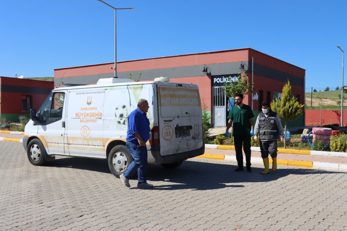 Tam Teşekküllü Hayvan Hastanesi Ve Rehabilitasyon Merkezi Hizmete Başladı