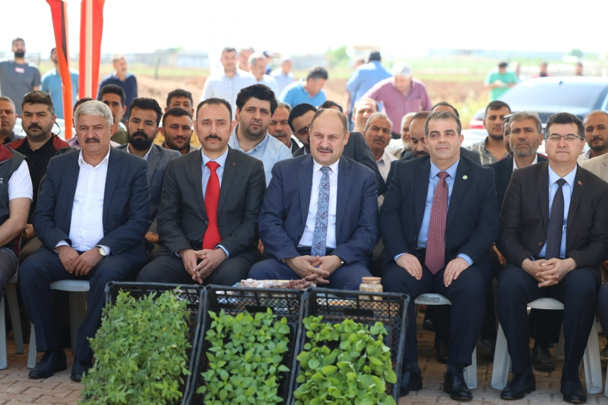 fide bizden ekmek sizden