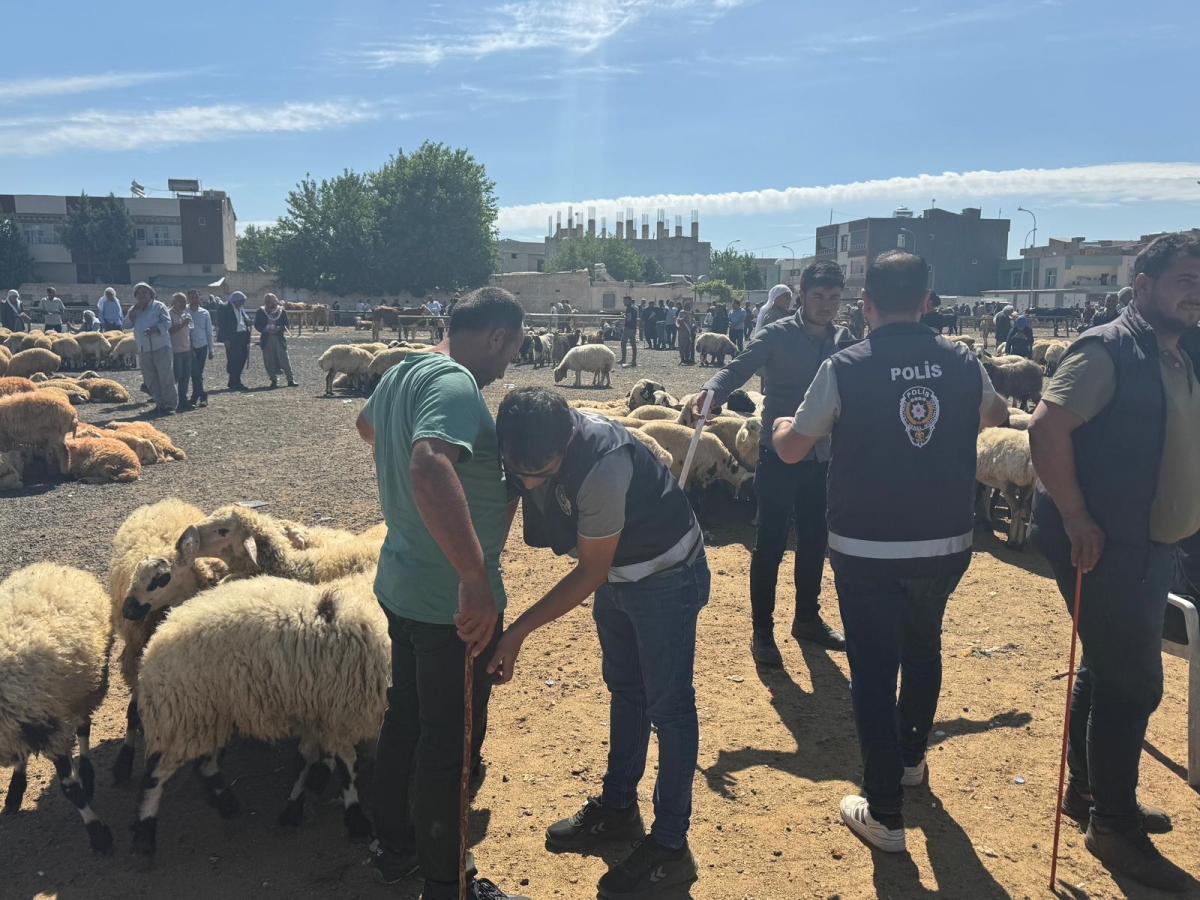 Şehrimizin huzur ve güvenliği için uygulamalarımız devam etmektedir.