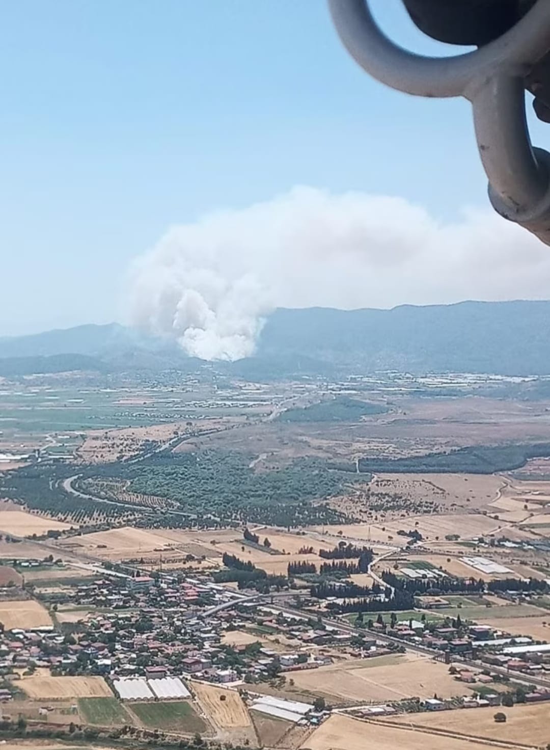 İzmir'in Ciğerleri Yanıyor: Orman Yangını Felaketi
