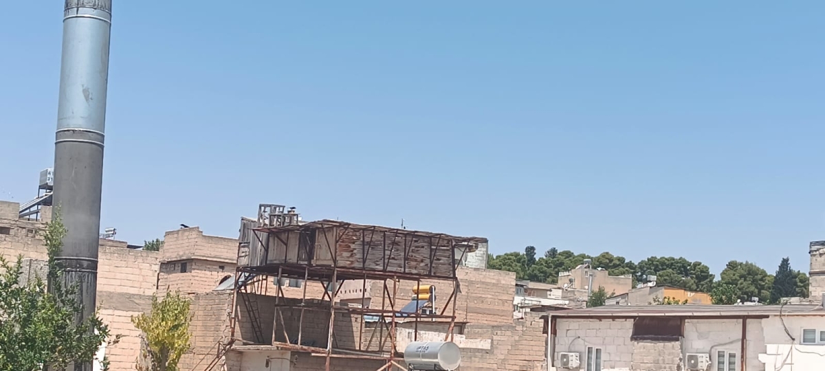 Şanlıurfa’da Güvercin Besleme Tehlike Saçıyor
