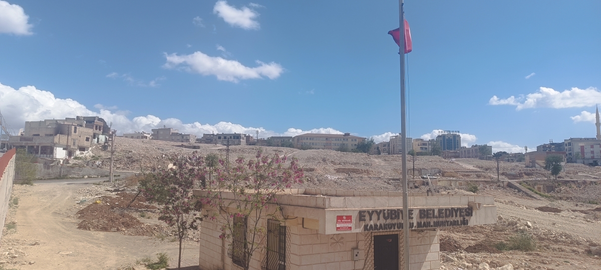 Kızılkoyun