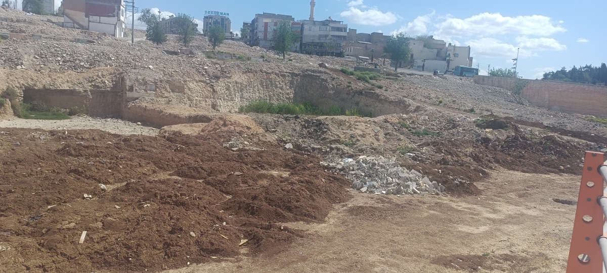 Kızılkoyun