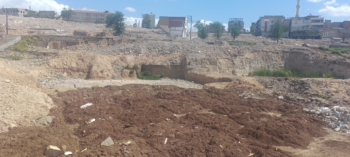 Kızılkoyun
