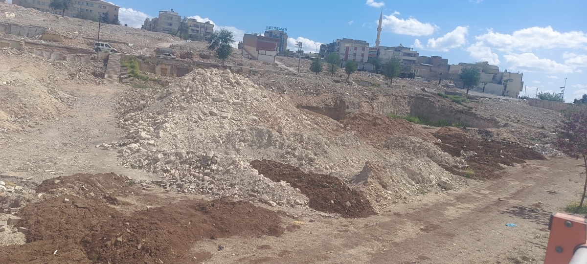 Kızılkoyun
