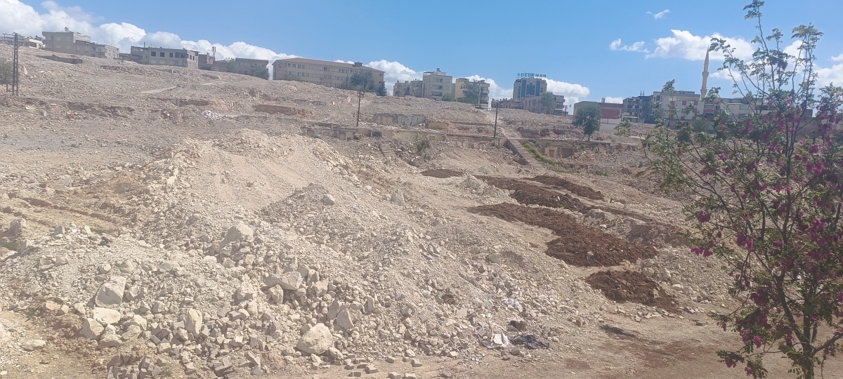 Kızılkoyun