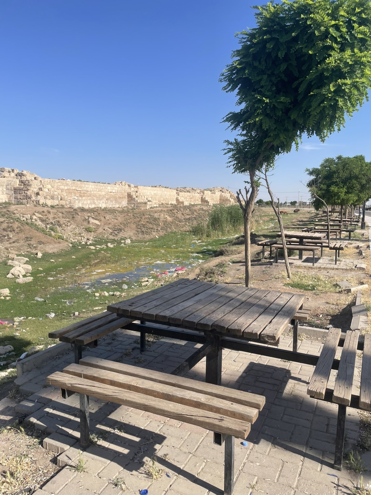Harran’da Turizm ve Hizmet Alarm Veriyor: Medeniyetin Beşiği Sahipsiz Kaldı