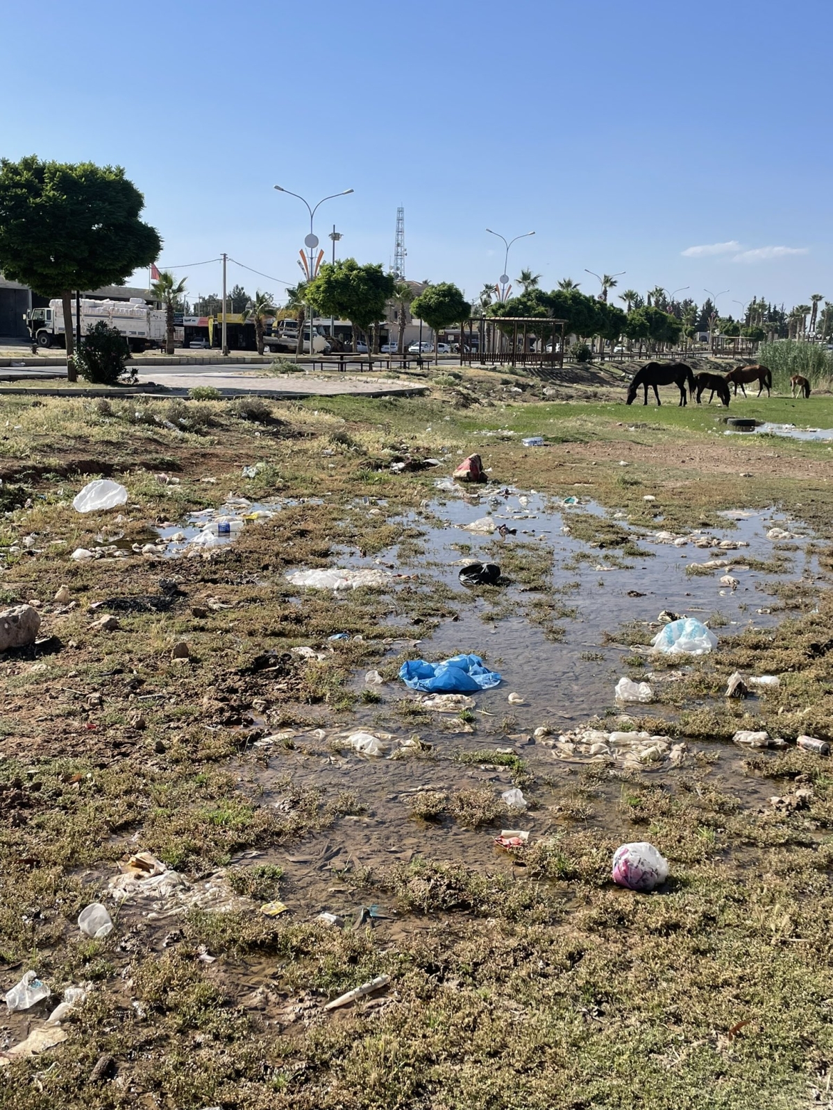 Harran’da Turizm ve Hizmet Alarm Veriyor: Medeniyetin Beşiği Sahipsiz Kaldı