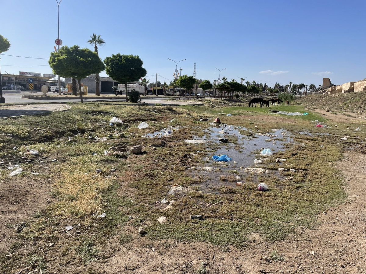 Harran’da Turizm ve Hizmet Alarm Veriyor: Medeniyetin Beşiği Sahipsiz Kaldı