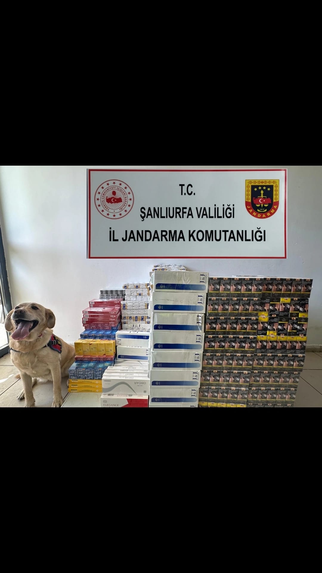 Tonlarca Kaçak Tütün Yakalandı