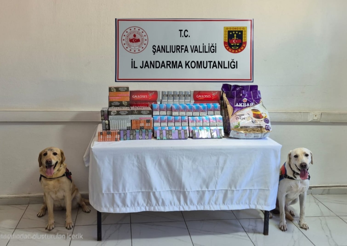 Tonlarca Kaçak Tütün Yakalandı