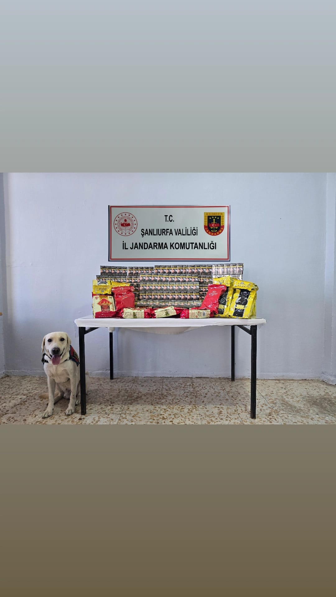 Tonlarca Kaçak Tütün Yakalandı