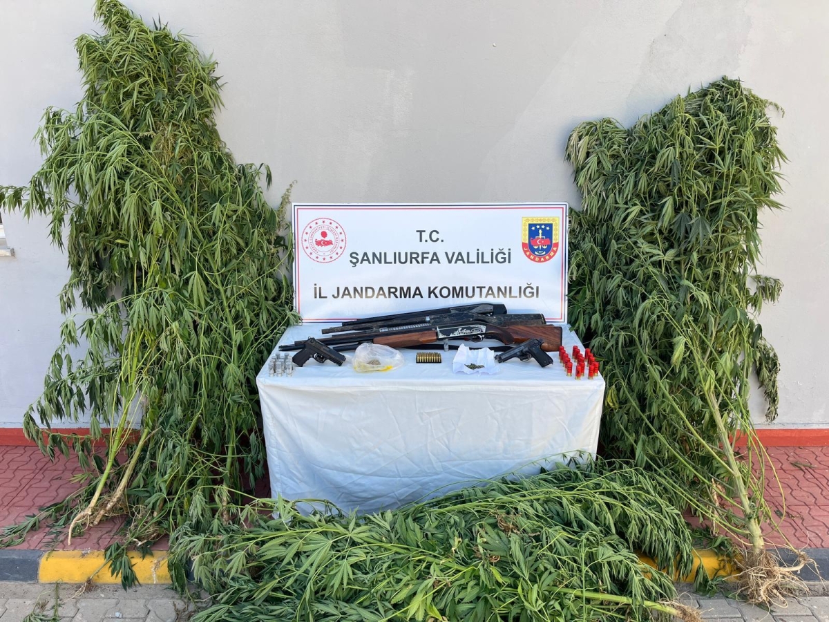 Şanlıurfa’da Jandarmadan Narkotik Operasyonu: 6 Şüpheli Gözaltında