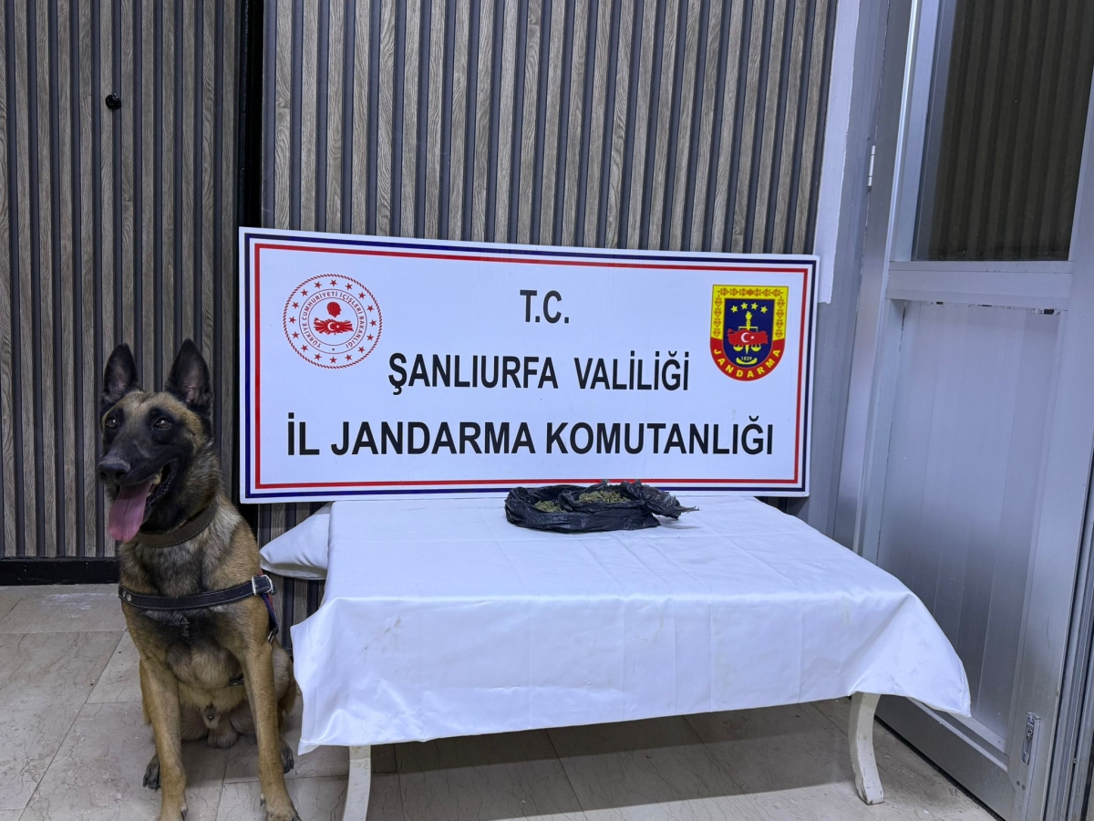 Şanlıurfa’da Jandarmadan Narkotik Operasyonu: 6 Şüpheli Gözaltında