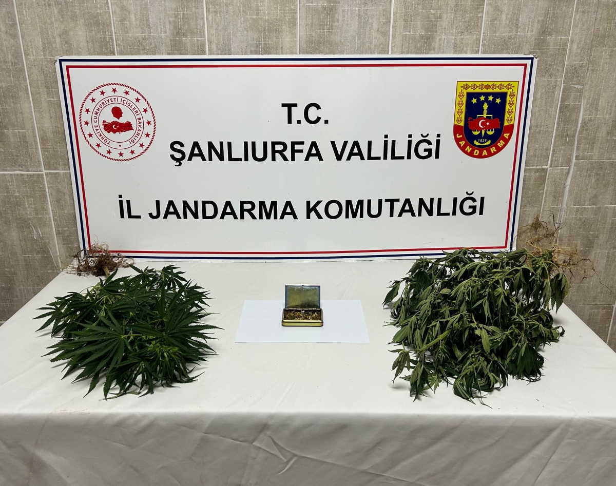 Şanlıurfa’da Jandarmadan Narkotik Operasyonu: 6 Şüpheli Gözaltında