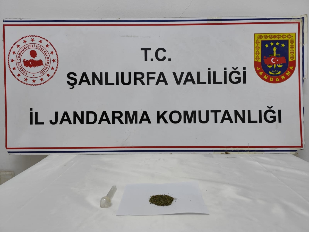 ŞANLIURFA’DA JANDARMADAN UYUŞTURUCU OPERASYONU: 12 GÖZALTI