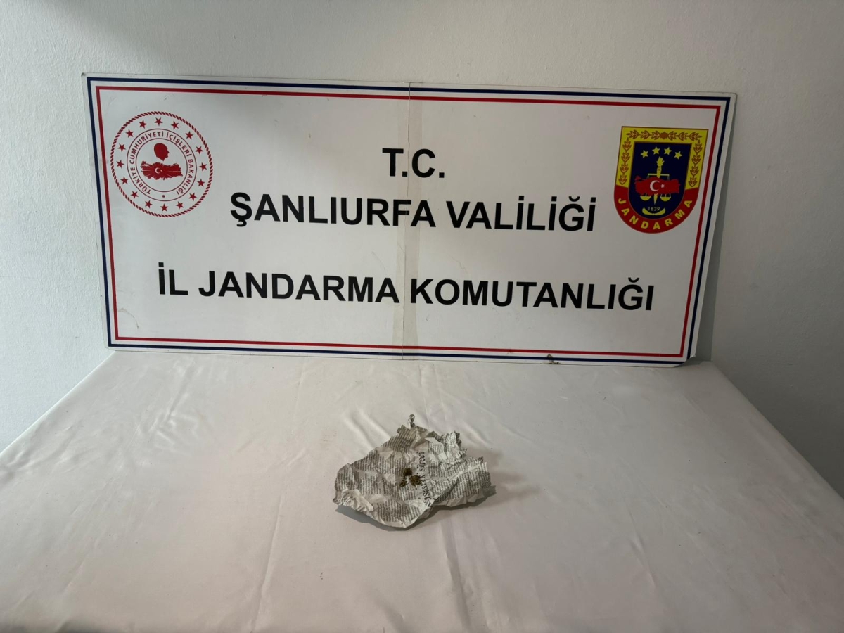 ŞANLIURFA’DA JANDARMADAN UYUŞTURUCU OPERASYONU: 12 GÖZALTI