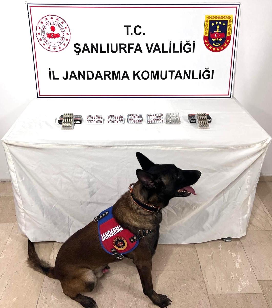 Bozova’da Silah Operasyonu: Piyade Tüfeği ve Tabancalar Ele Geçirildi