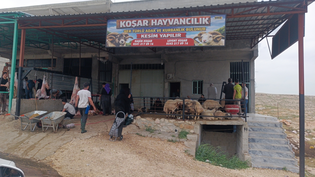 Kurban Bayramı’nın İkinci Gününde Şanlıurfa Hayvan Pazarlarında Yoğunluk Devam Ediyor