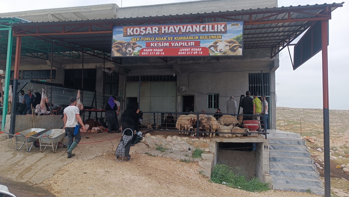 Kurban Bayramı’nın İkinci Gününde Şanlıurfa Hayvan Pazarlarında Yoğunluk Devam Ediyor