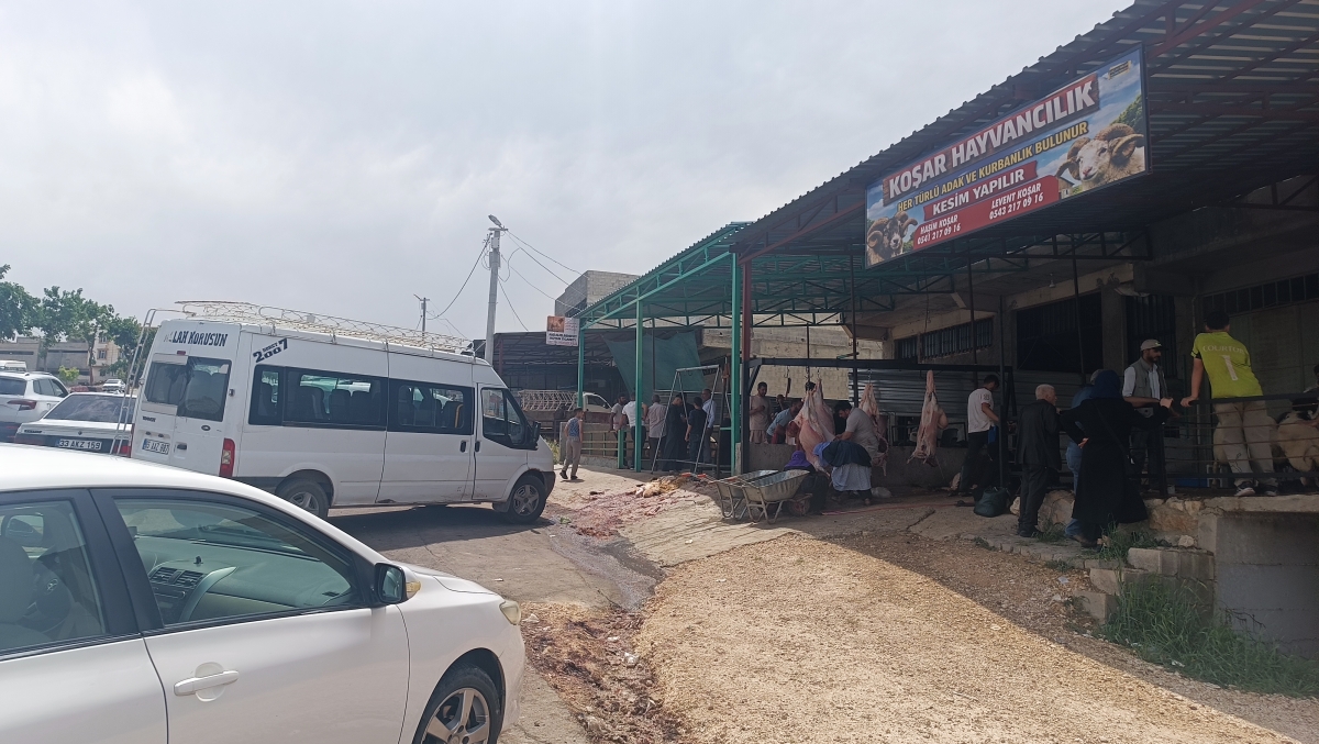 Kurban Bayramı’nın İkinci Gününde Şanlıurfa Hayvan Pazarlarında Yoğunluk Devam Ediyor